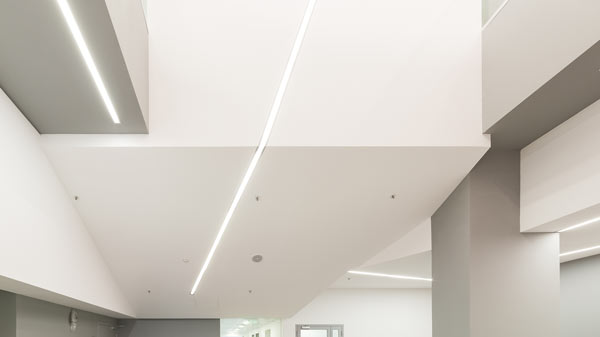 lighting designer